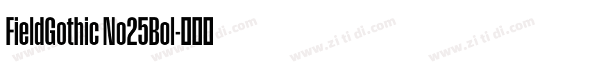 FieldGothic No25Bol字体转换